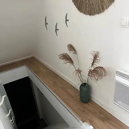 Apartment Le426, F2 Refait A Neuf *